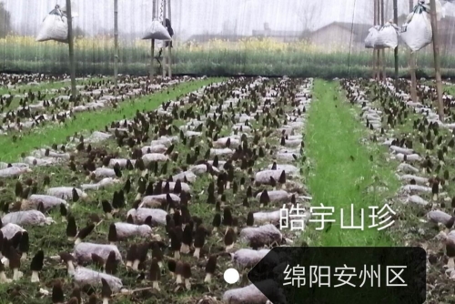&#20339;&#21338;&#23448;&#26041;&#32593;&#31449;&#95;&#20339;&#21338;&#106;&#105;&#97;&#98;&#111;&#40;&#20013;&#22269;&#41;