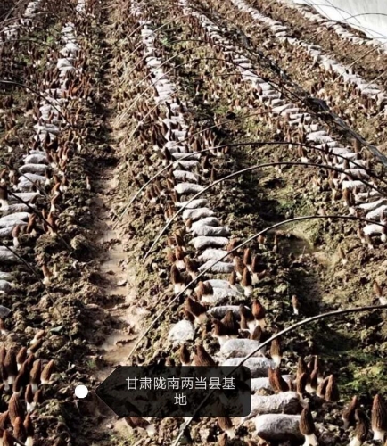 &#20339;&#21338;&#23448;&#26041;&#32593;&#31449;&#95;&#20339;&#21338;&#106;&#105;&#97;&#98;&#111;&#40;&#20013;&#22269;&#41;