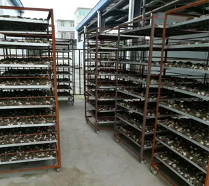 &#20339;&#21338;&#23448;&#26041;&#32593;&#31449;&#95;&#20339;&#21338;&#106;&#105;&#97;&#98;&#111;&#40;&#20013;&#22269;&#41;