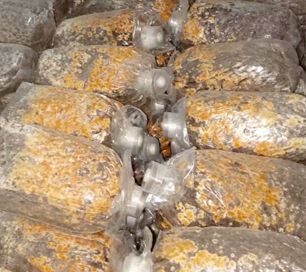 &#20339;&#21338;&#23448;&#26041;&#32593;&#31449;&#95;&#20339;&#21338;&#106;&#105;&#97;&#98;&#111;&#40;&#20013;&#22269;&#41;