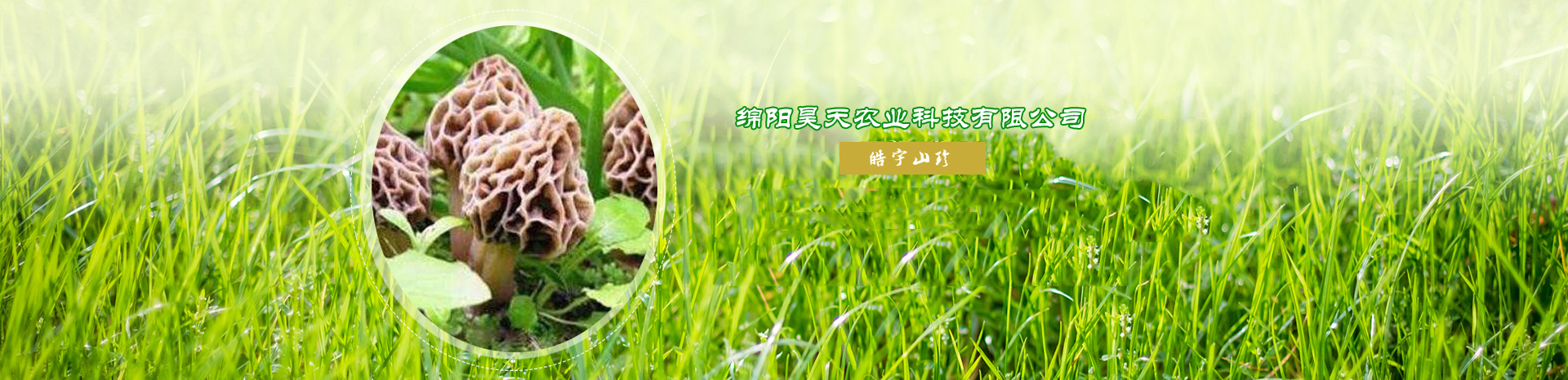 &#20339;&#21338;&#23448;&#26041;&#32593;&#31449;&#95;&#20339;&#21338;&#106;&#105;&#97;&#98;&#111;&#40;&#20013;&#22269;&#41;