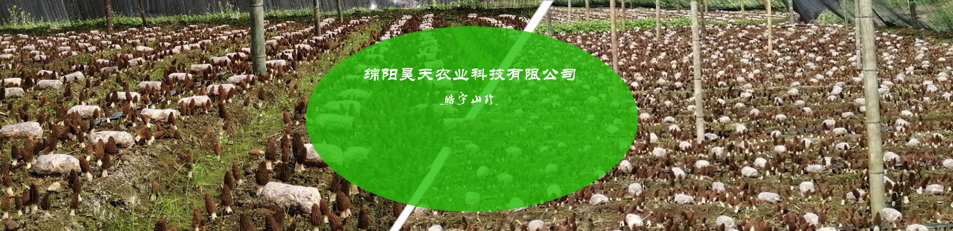 &#20339;&#21338;&#23448;&#26041;&#32593;&#31449;&#95;&#20339;&#21338;&#106;&#105;&#97;&#98;&#111;&#40;&#20013;&#22269;&#41;